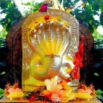 spec_img-02 Struggling with repeated obstacles or setbacks? Kaal Sarp Dosh in your horoscope may be the cause. Get powerful remedies and pooja guidance to restore balance and success.